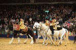 Cavalry - 00071